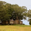 Exploring the Fees for Parking at Windy Hill Farm