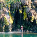 Exploring the Best Attractions near Windy Hill Farm in Texas