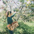 Exploring the Seasonal Events and Festivals at Windy Hill Farm
