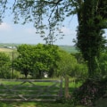 The Pet Policy at Windy Hill Farm: What You Need to Know
