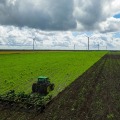 Exploring the Hours of Operation for Windy Hill Farm in Texas