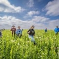 Exploring the Diverse Agriculture of Windy Hill Farm in Texas