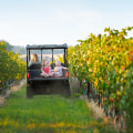 The Ultimate Guide to Visiting Windy Hill Farm in Texas
