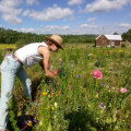 Exploring the Educational Programs and Workshops at Windy Hill Farm