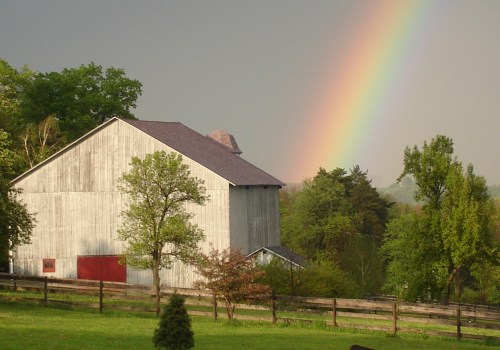 The Legacy of Windy Hill Farm: A Family-Owned Business