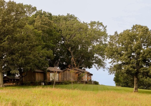 Exploring the Fees for Parking at Windy Hill Farm