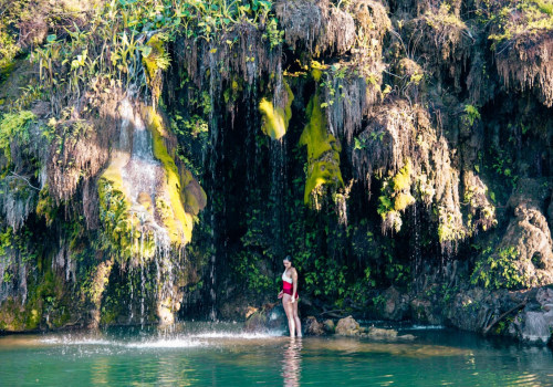 Exploring the Best Attractions near Windy Hill Farm in Texas