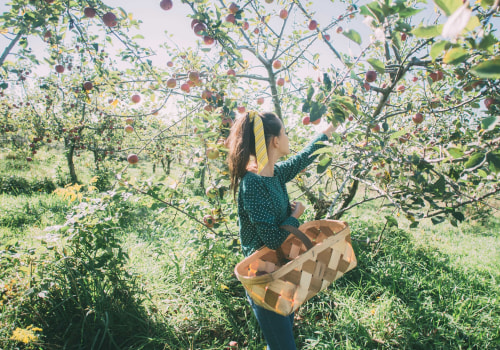 Exploring the Seasonal Events and Festivals at Windy Hill Farm