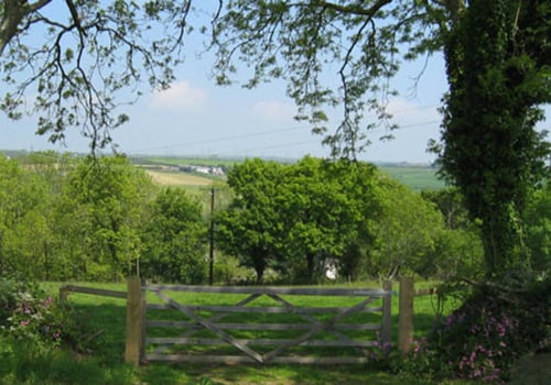 The Pet Policy at Windy Hill Farm: What You Need to Know