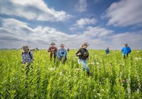 Exploring the Diverse Agriculture of Windy Hill Farm in Texas