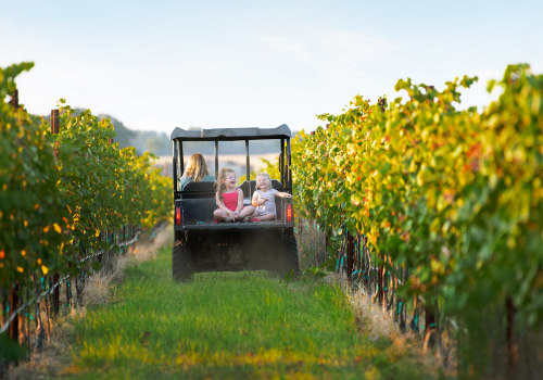 The Ultimate Guide to Visiting Windy Hill Farm in Texas