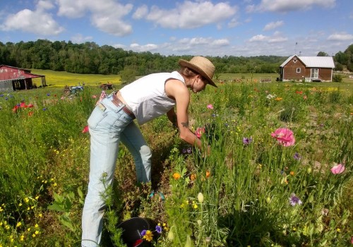 Exploring the Educational Programs and Workshops at Windy Hill Farm